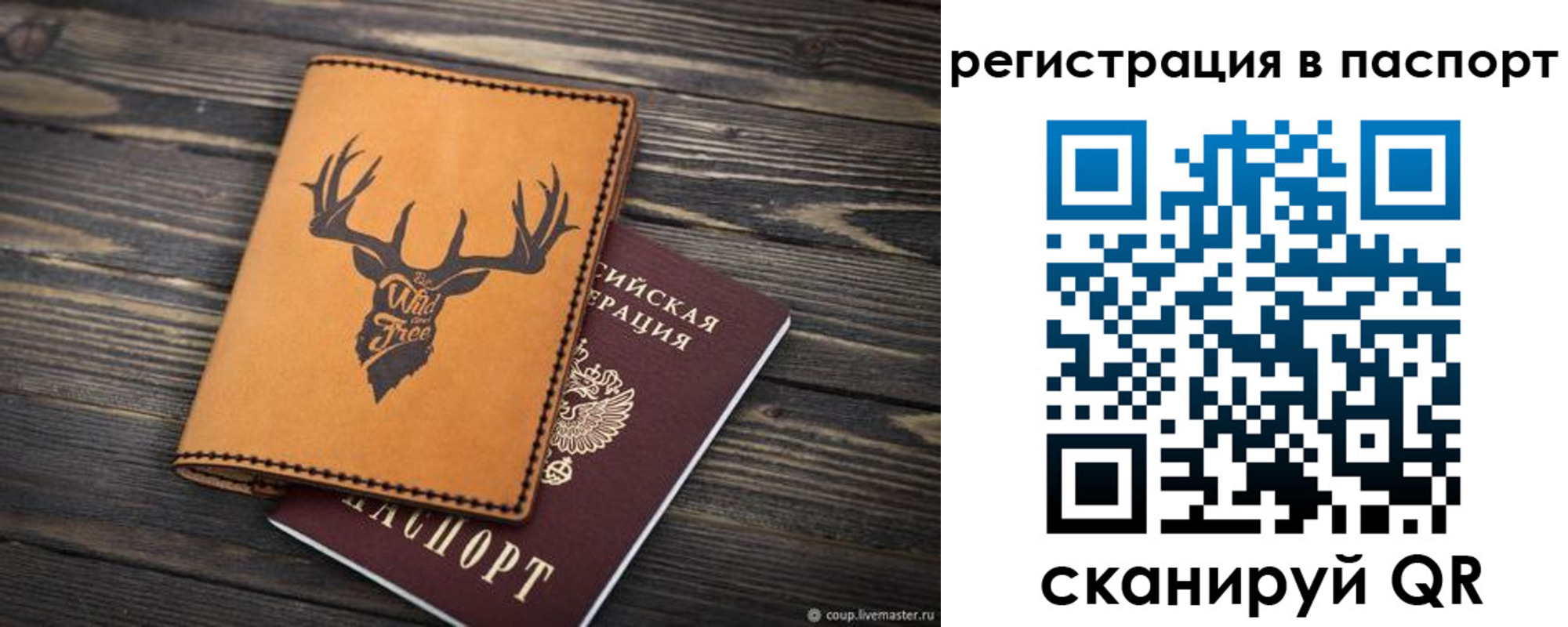 прописка паспорт в Десногорске